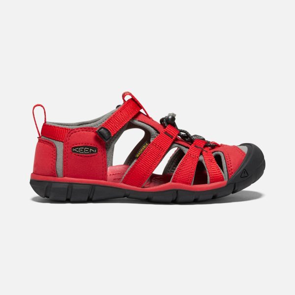 Seacamp II Kids  CNX Active Sandal - Racing Red Gargoyle Online Sale