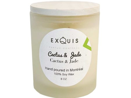 Cactus & Jade Candle For Cheap