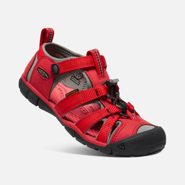 Seacamp II Kids  CNX Active Sandal - Racing Red Gargoyle Online Sale