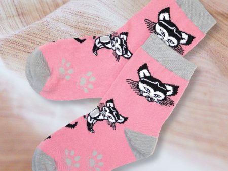 Cat Kids Socks Online Sale